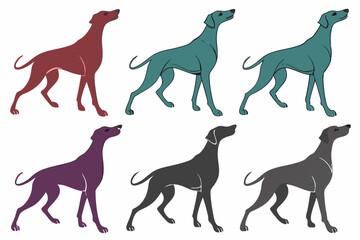 set of GreyHound silhouette vector illustration