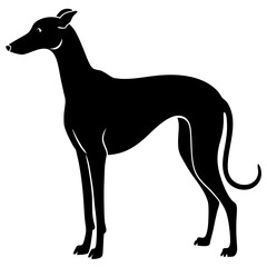 GreyHound dog silhouette vector illustration