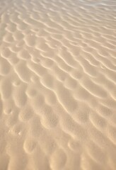 Fototapeta premium Submerged sand, ripples subtly textured by gentle currents, water, currents, coastal zone