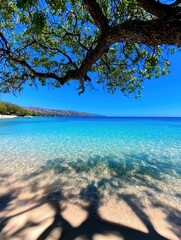 Crystal clear ocean water beneath a lush tree on a sandy beach, perfect for relaxation.