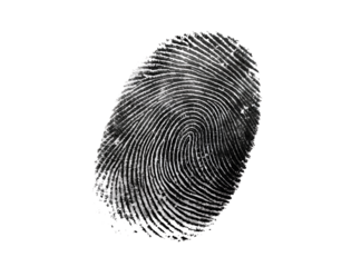 High-quality black fingerprint isolated on a white background, biometric ID scan, forensic analysis, transparent PNG cutout for digital use