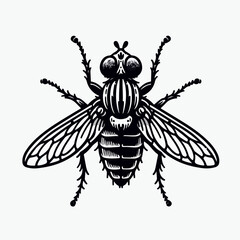 fly vector illustration