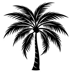 Palm Tree Silhouette
