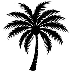 Palm Tree Silhouette