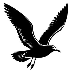 Seagull Silhouette