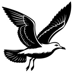 Seagull Silhouette