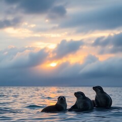Three seals silhouetted against a vibrant sunset over calm ocean waters.