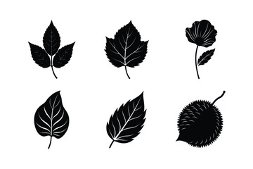 many kinds of leaves silhouette vector illustration
