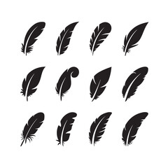 Bird Feather Set. Vector collection of feathers in a flat style, featuring black quill feather silhouettes and pen icons. Plumelet designs isolated on a white background.