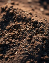 Close-up of fine-grained soil, dark brown, slightly moist, moist, clay soil