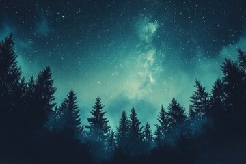 Starry night forest silhouettes, misty, magical