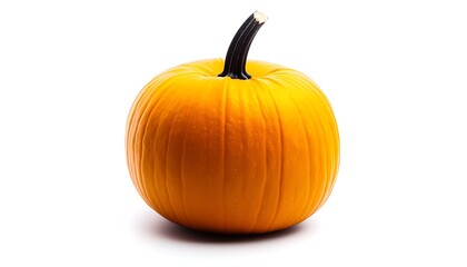 Obraz premium Single Orange Pumpkin for White Background.