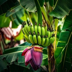 A hyper-realistic image capturing a tropical banana plant.
