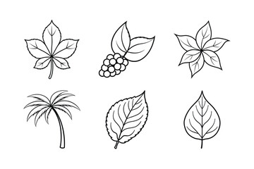 Fototapeta premium many kinds of leaves set line art vector illustrations