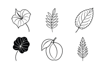 many kinds of leaves set line art vector illustrations