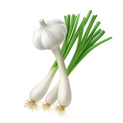 Garlic Bulb with Fresh Green Stems A whole garlic bulb with long green stems, ideal for culinary use and seasoning.