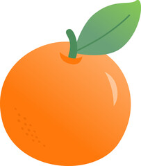Illustration of an orange