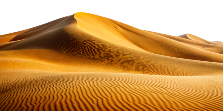 Golden Desert Dunes Rippling in the Wind A Stunning Landscape of Sand and Sun isolated on white or transparent background