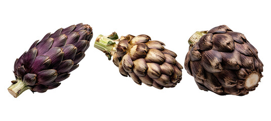 Obraz premium Assorted Raw Artichokes Isolated on PNG