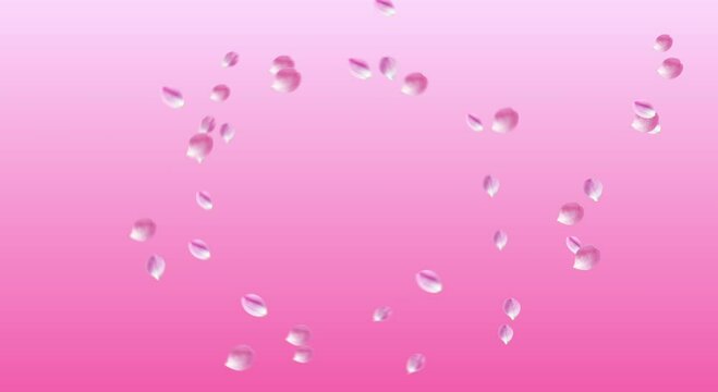 Primavera Part&iacute;culas de p&eacute;talos: flor de cerezo ventisca de color rosa gradiente de animaci&oacute;n de fondo: p&eacute;talos de color rosa girando en el viento: p&eacute;talos bailando maravillosamente.