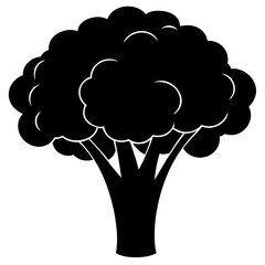 Broccoli silhouette  vector illustration 