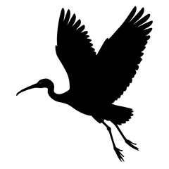 Giant ibis bird in mid flight silhouette vector illustration