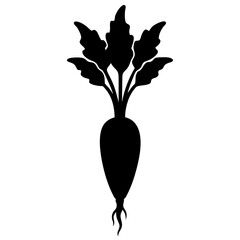 Horseradish silhouette vector illustration