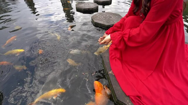Female traveler feeds koi fish in Taman Tirtagangga Temple, Bali, Indonesia.	