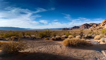 desert landscape near calico california