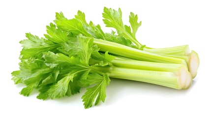 Fresh celery isolated on white background