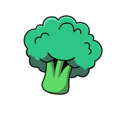 broccoli vector illustration