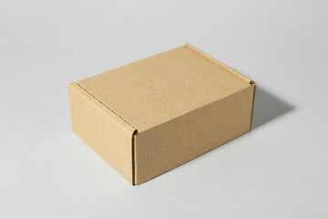 One blank cardboard box on white background. Mockup for design