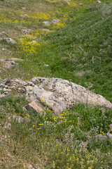 Landscape with rocky slope in the mountains: green grass, big boulder and wild flowers. Ideal for nature, geology, countryside and natural landscape themes.