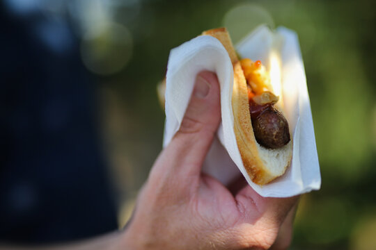 Sausage and onion in bread from sausage sizzle at the polling booth