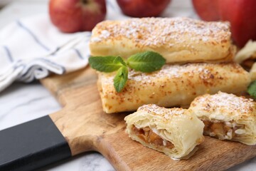 Tasty apple strudels with powdered sugar and mint on table, closeup