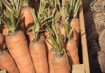 Vegetables in wicker basket on stand at bazaar. Food containing minerals and vitamins