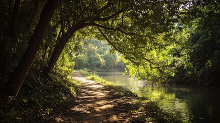 Obraz premium Scenic Riverside Trail Amidst Lush Greenery and Sunlight Shimmering Through Trees