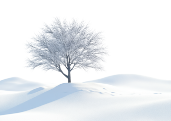 Snowy Tree on a Rolling White Hill in a Winter Scene. Isolated on a Transparent Background
