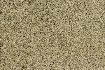 Asphalt concrete ground pale brown painted texture background