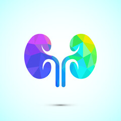 Kidney icon design illustration. Human organ icon, Kidney care logo symbol. low poly style