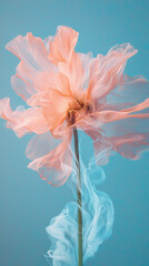 Obraz premium 3D abstract blurred background of pink peach babyblue pastel floral bouquet flowers, grunge soft colors romantic botanical gradient aesthetic flow bloom dreamy vintage texture smoke silk pattern paint