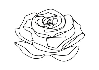 simple black and white one continuous line rose vector illustration, beautiful rose flower drawing isolated on white background with copy space for text, rose bloom isolated on white

