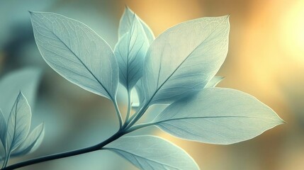 Fototapeta premium Serene Tranquil Blue Leaves Nature Background
