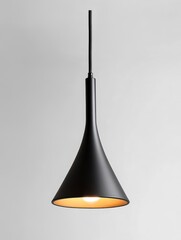 Fototapeta premium Modern Black Pendant Light
