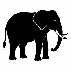 Obraz premium elephant vector illustration