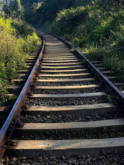 Obraz premium Sunlit railway tracks curve through lush green foliage.