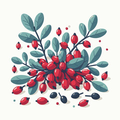 barberry, ripe, food, berry, red, leaf, fruit, plant, branch, fresh, natural, healthy, antioxidant, vitamin, spice, goji, organic, herb, background, ingredient, isolated, autumn, herbal, snack, medici