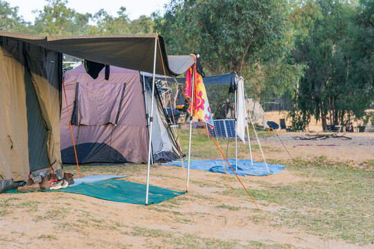 A row of camping tents set up in a bush clearing.