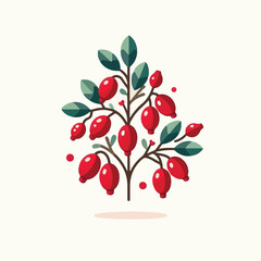 barberry, ripe, food, berry, red, leaf, fruit, plant, branch, fresh, natural, healthy, antioxidant, vitamin, spice, goji, organic, herb, background, ingredient, isolated, autumn, herbal, snack, medici