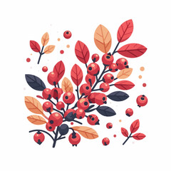 barberry, ripe, food, berry, red, leaf, fruit, plant, branch, fresh, natural, healthy, antioxidant, vitamin, spice, goji, organic, herb, background, ingredient, isolated, autumn, herbal, snack, medici